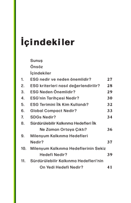 100 Soruda ESG Nedir?