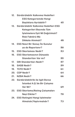 100 Soruda ESG Nedir?