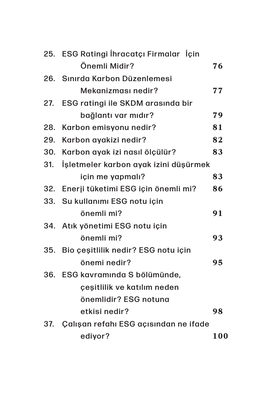 100 Soruda ESG Nedir?