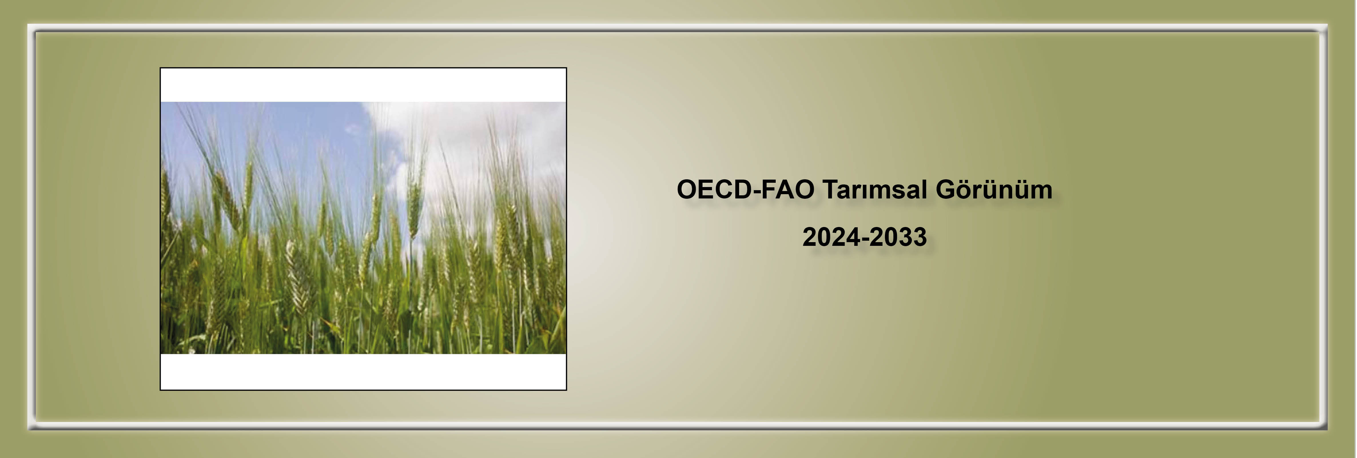 oecd-fao-tarimsal-gorunum-2024-2033